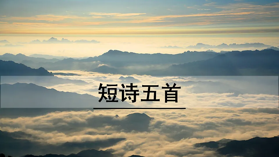 17911495第1页