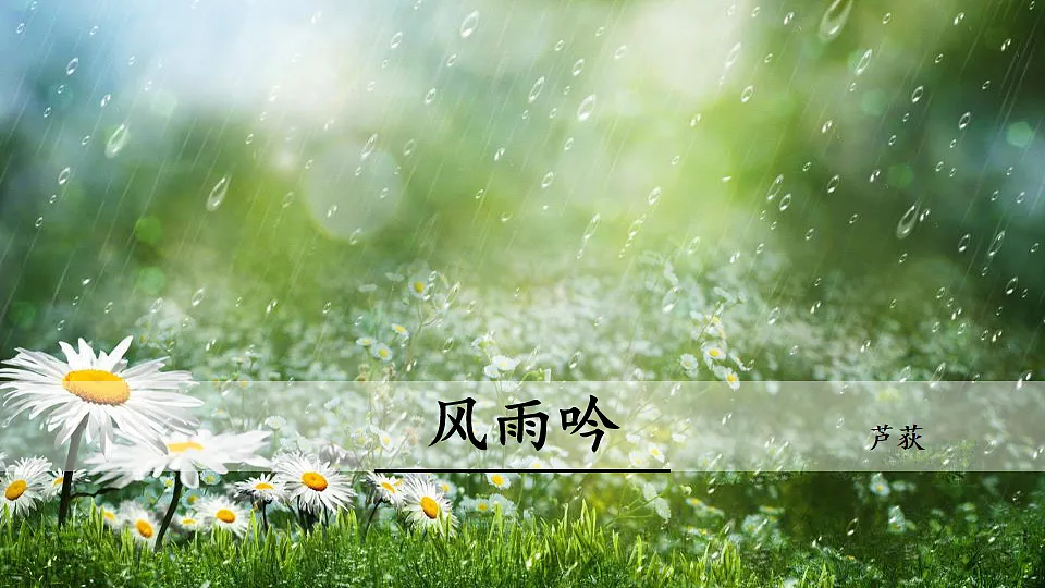 17911497第1页