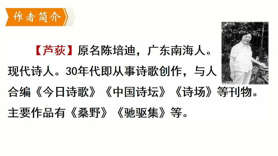 17911497第2页