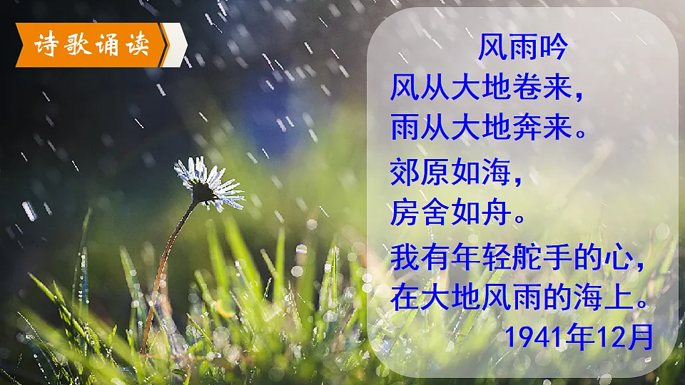 17911497第4页
