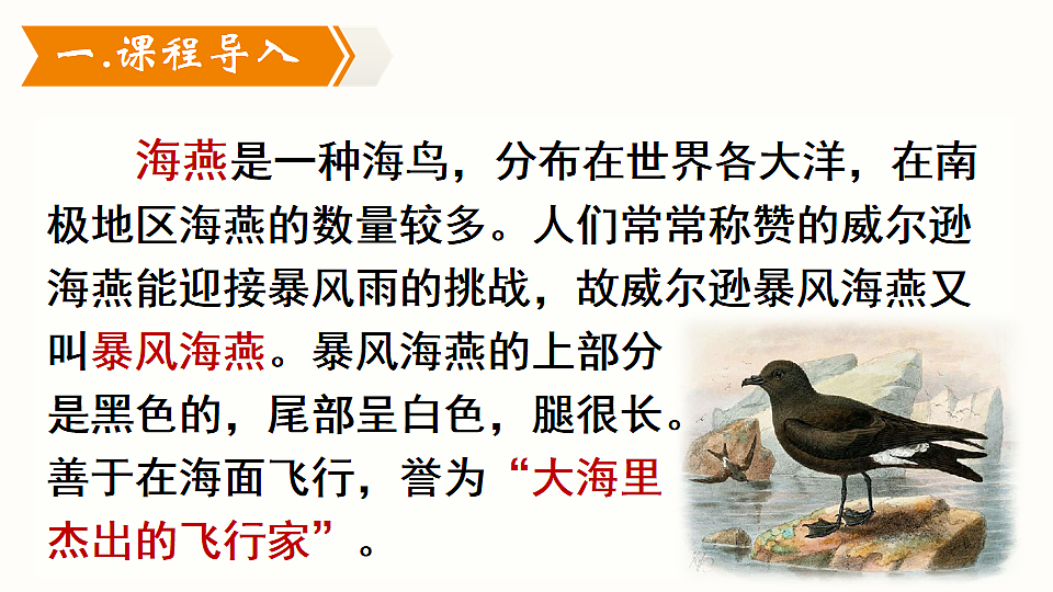 17911501第2页