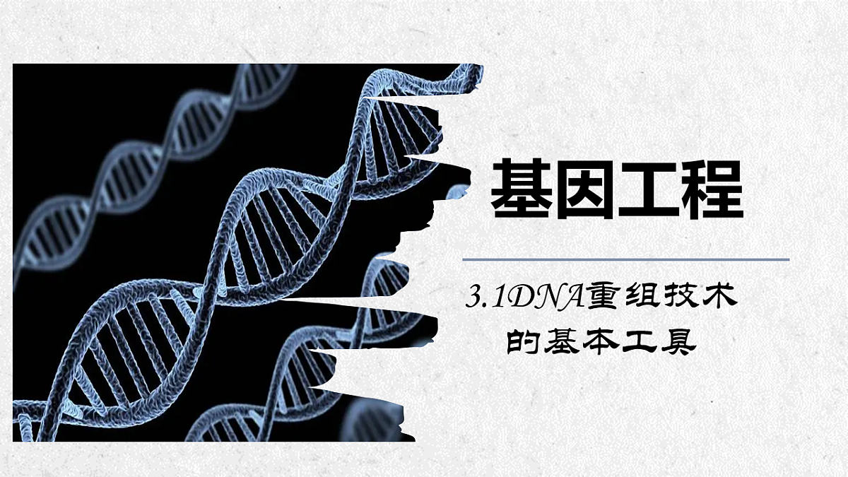 17911513第1页