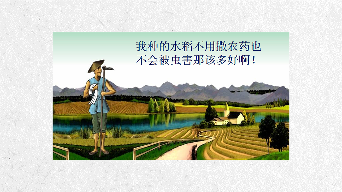 17911513第2页