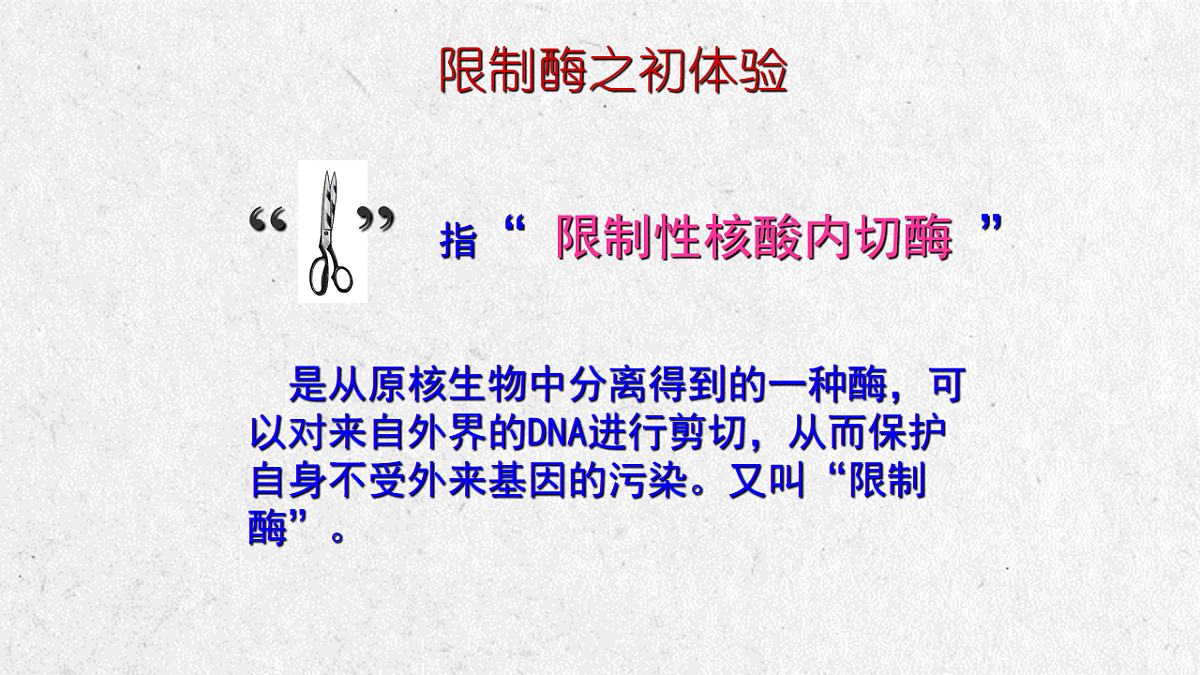 17911513第6页