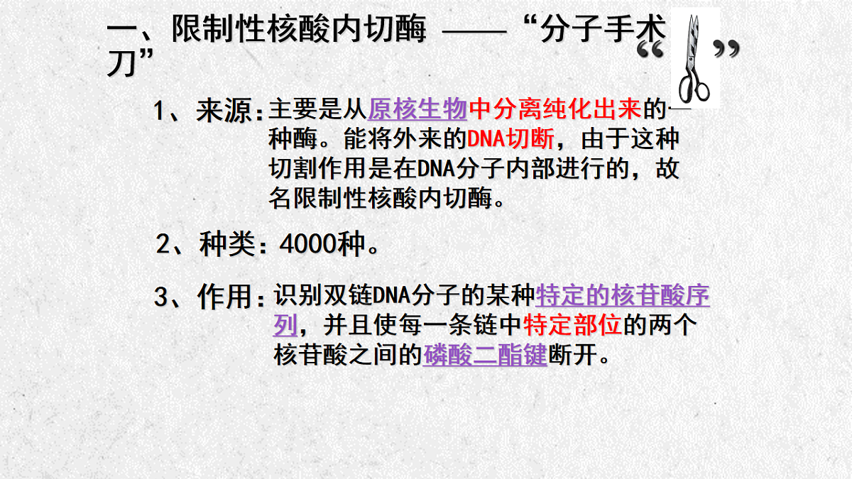17911513第7页