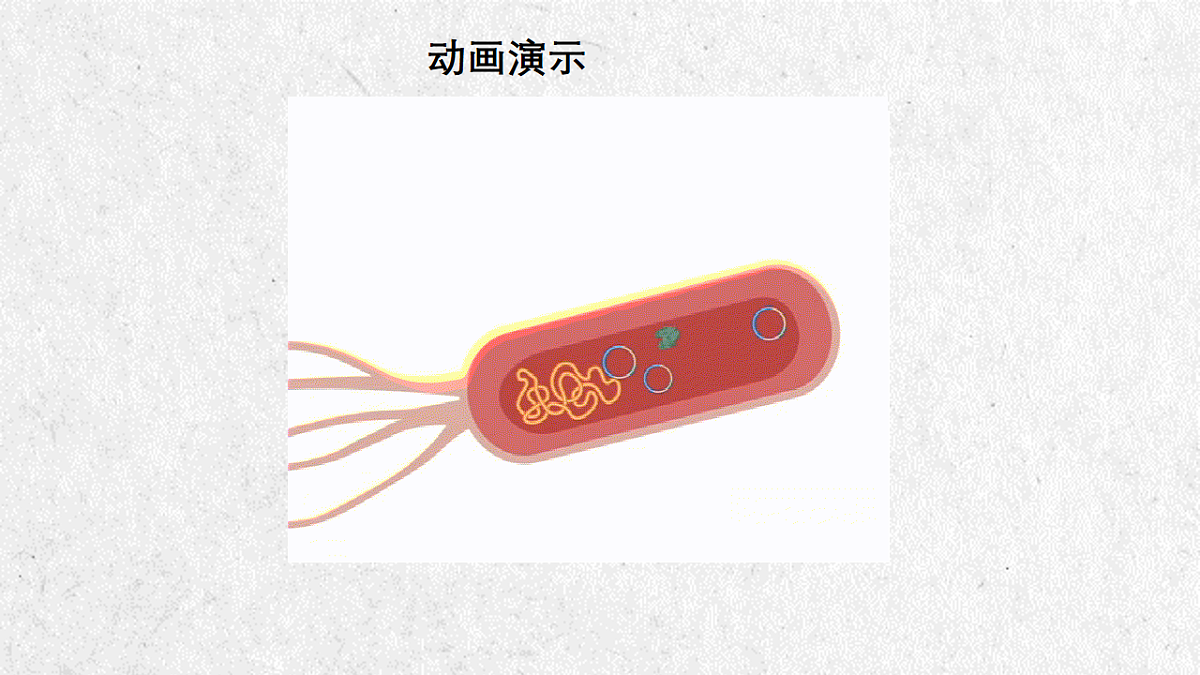 17911513第8页