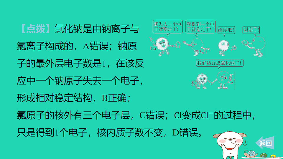 17911549第8页