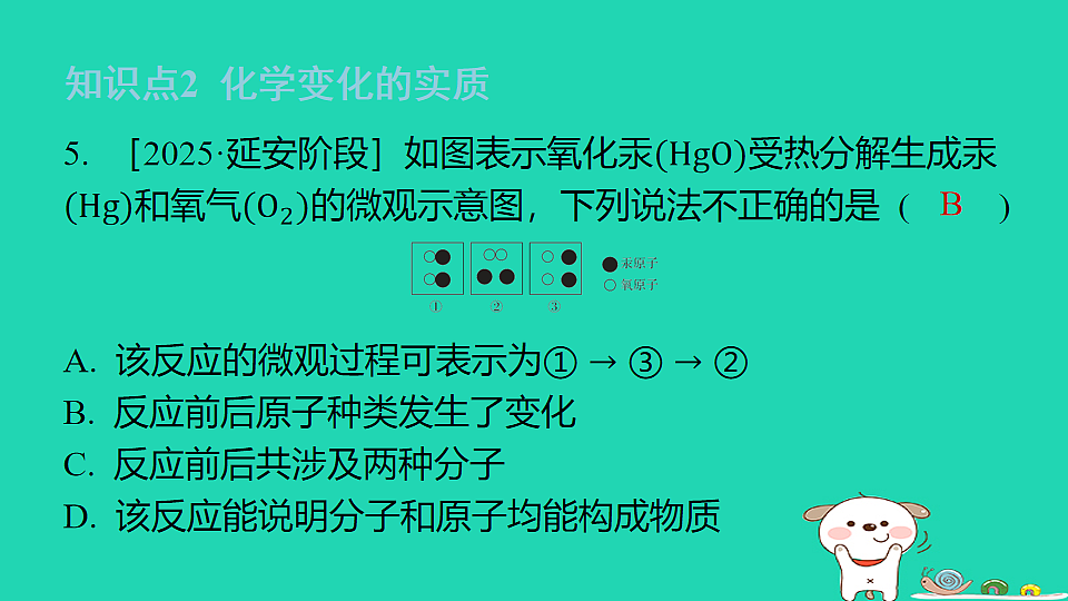 17911551第7页
