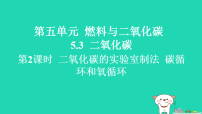科粤版（2024）二氧化碳习题ppt课件