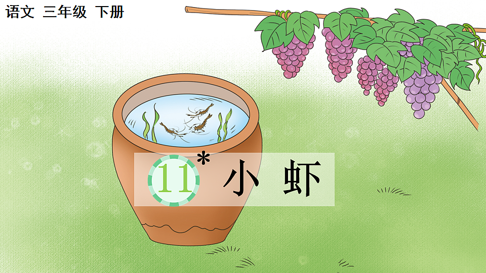 11 小虾【优质版】第1页