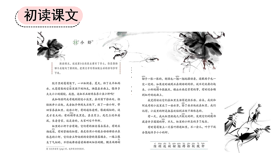 11 小虾【优质版】第3页