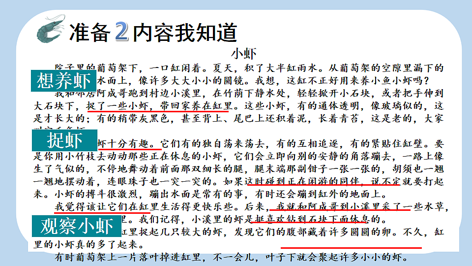 11 小虾【新课标版】第6页