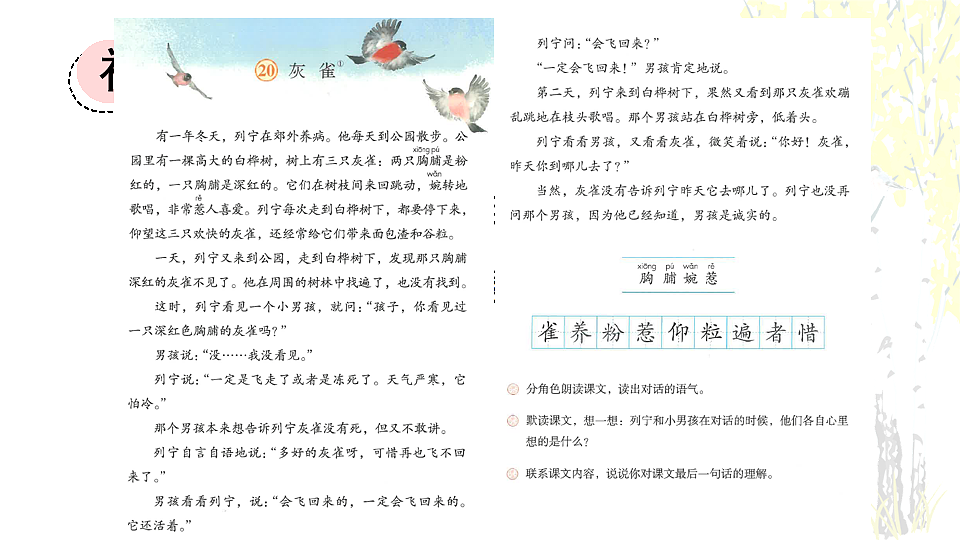 20 灰雀【优质版】第3页