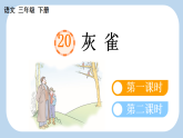 2026年统编版三年级语文下册 20 灰雀（课件+素材）