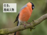2026年统编版三年级语文下册 20 灰雀（课件+素材）