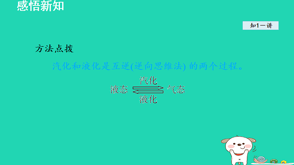17912120第7页