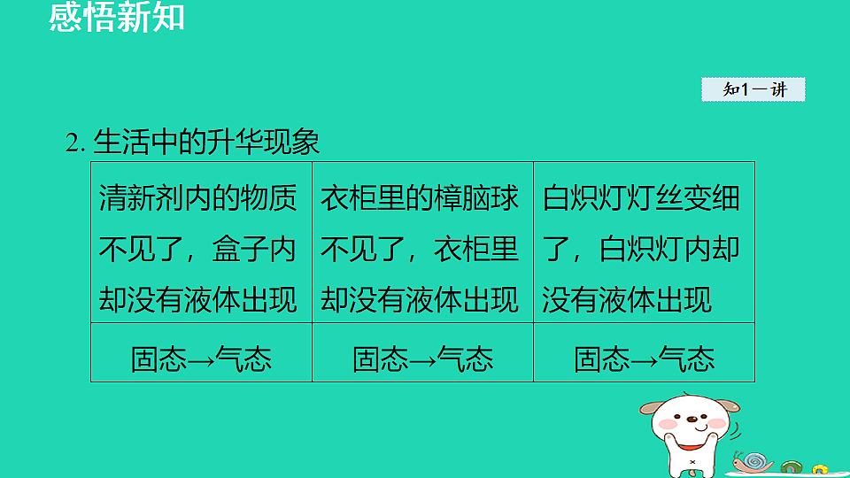17912121第8页
