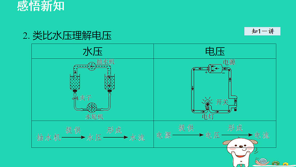 17912126第5页