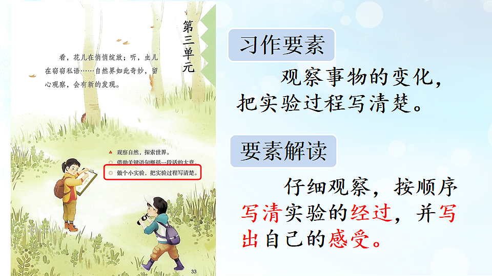 习作 我做了一项小实验【上课课件优质版】第3页