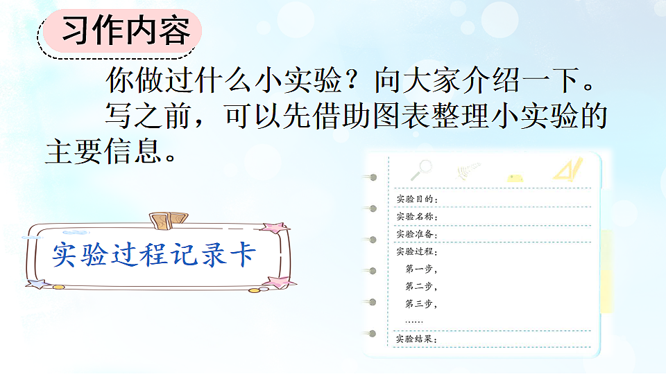 习作 我做了一项小实验【上课课件优质版】第4页