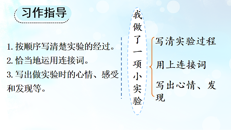 习作 我做了一项小实验【上课课件优质版】第6页