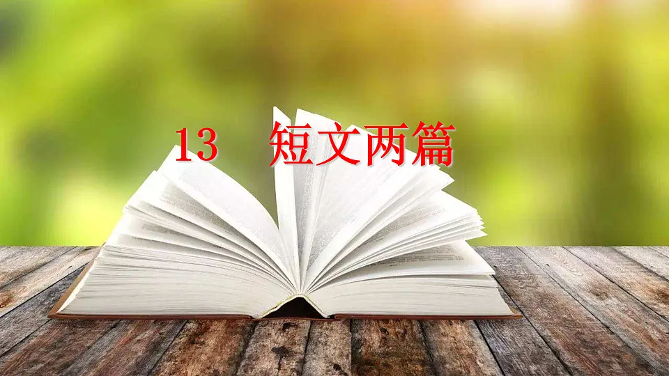 17912447第2页