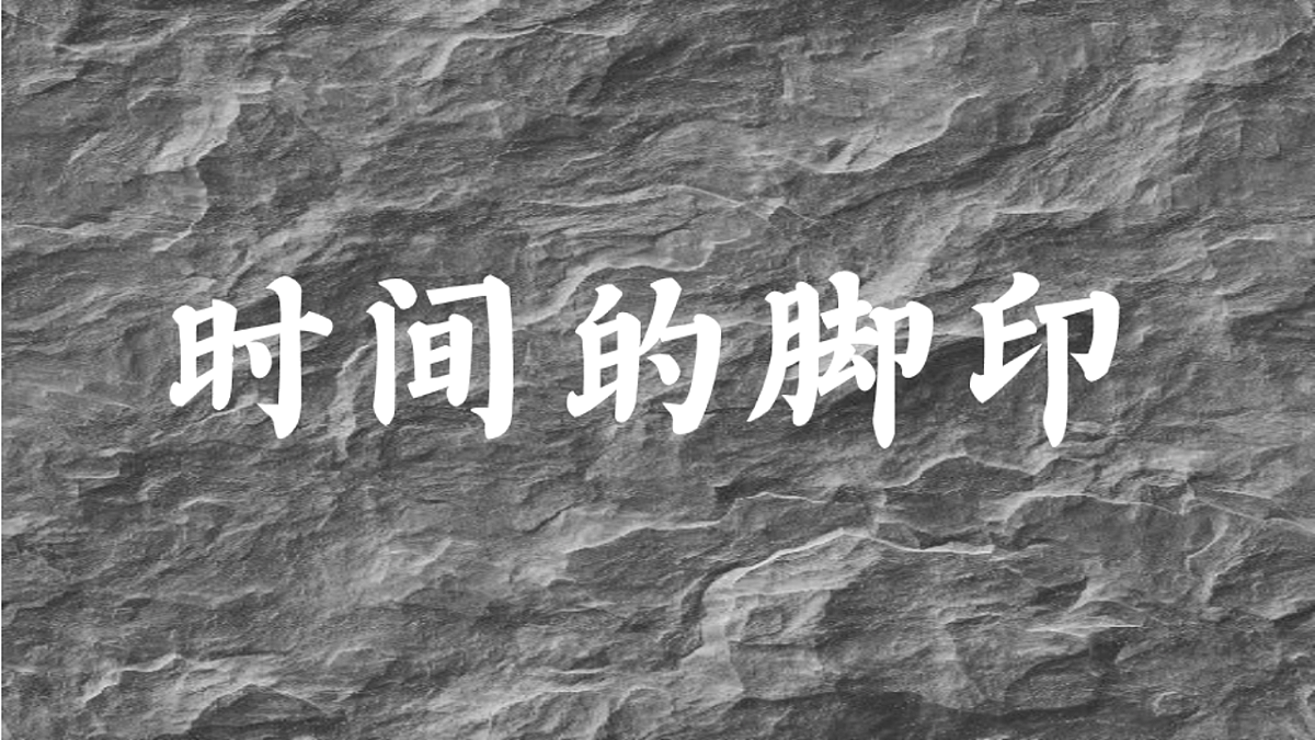 17912600第2页