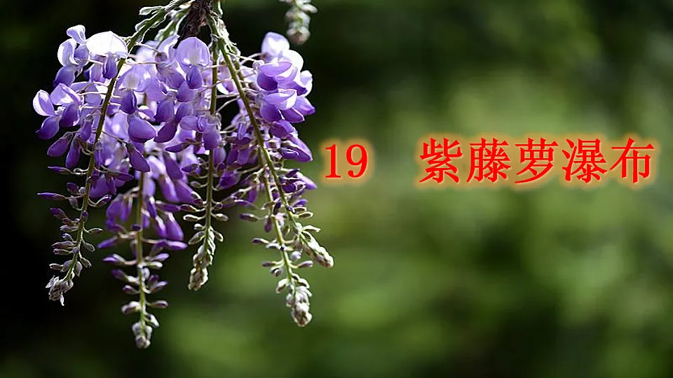 17912847第2页