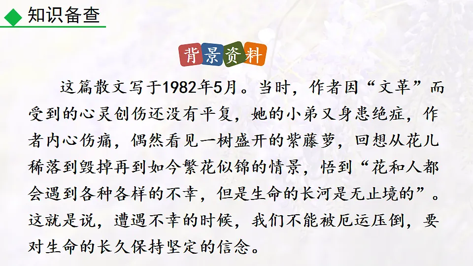 17912847第5页