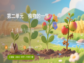 大象版（2024）科学三年级下册 2.2播种与萌发 （课件）