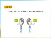 大象版（2024）科学三年级下册 4.2我们的呼吸器官 （课件）