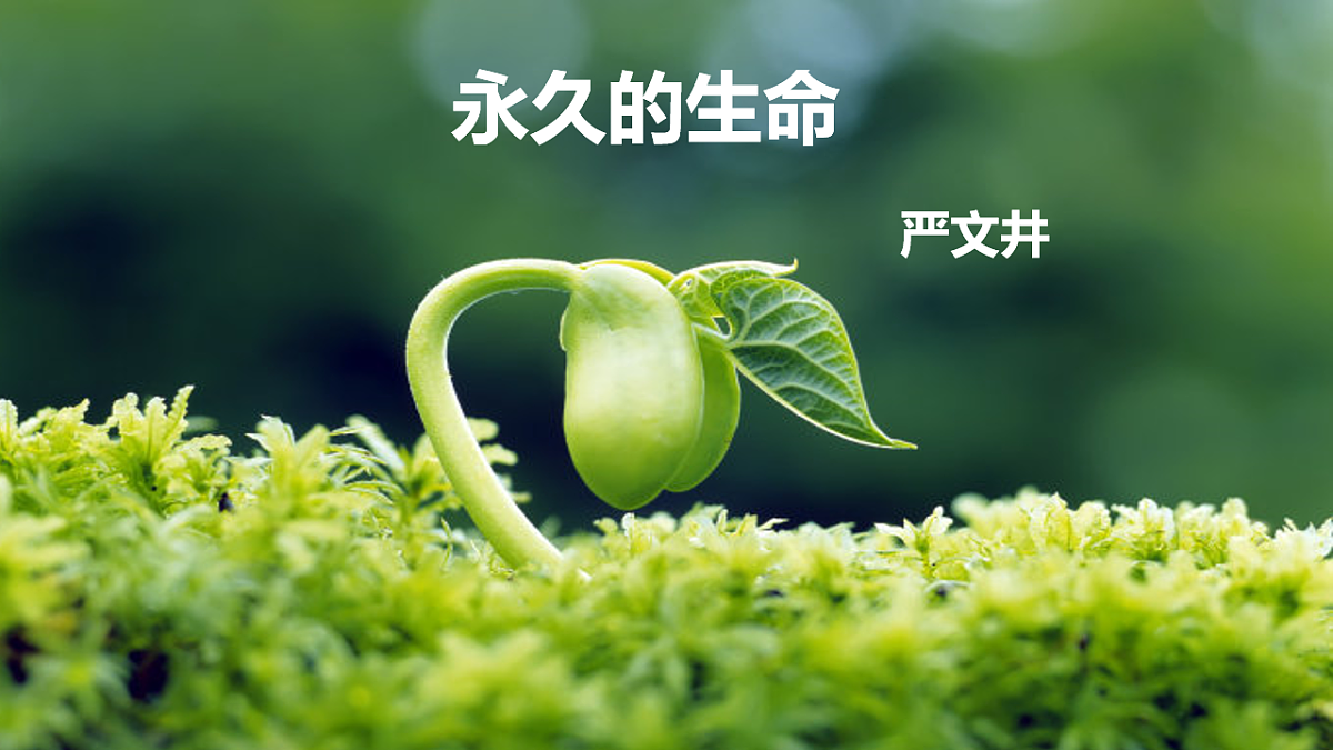 17912945第1页
