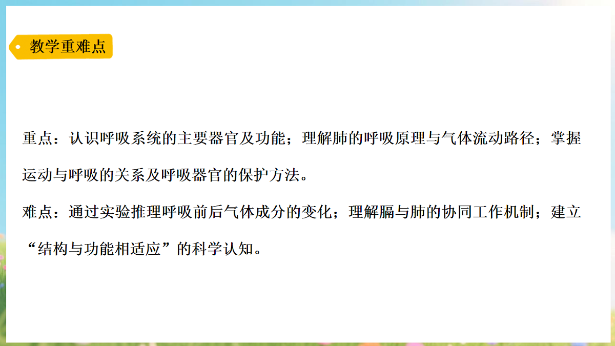17913069第5页