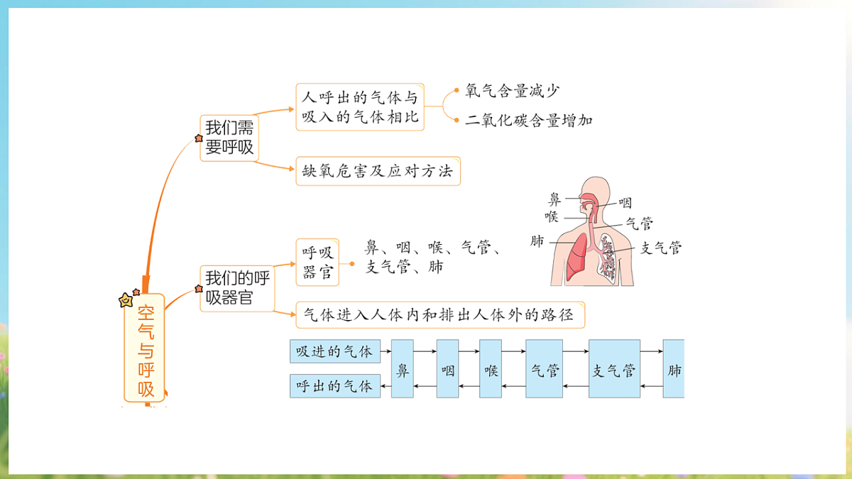 17913069第6页