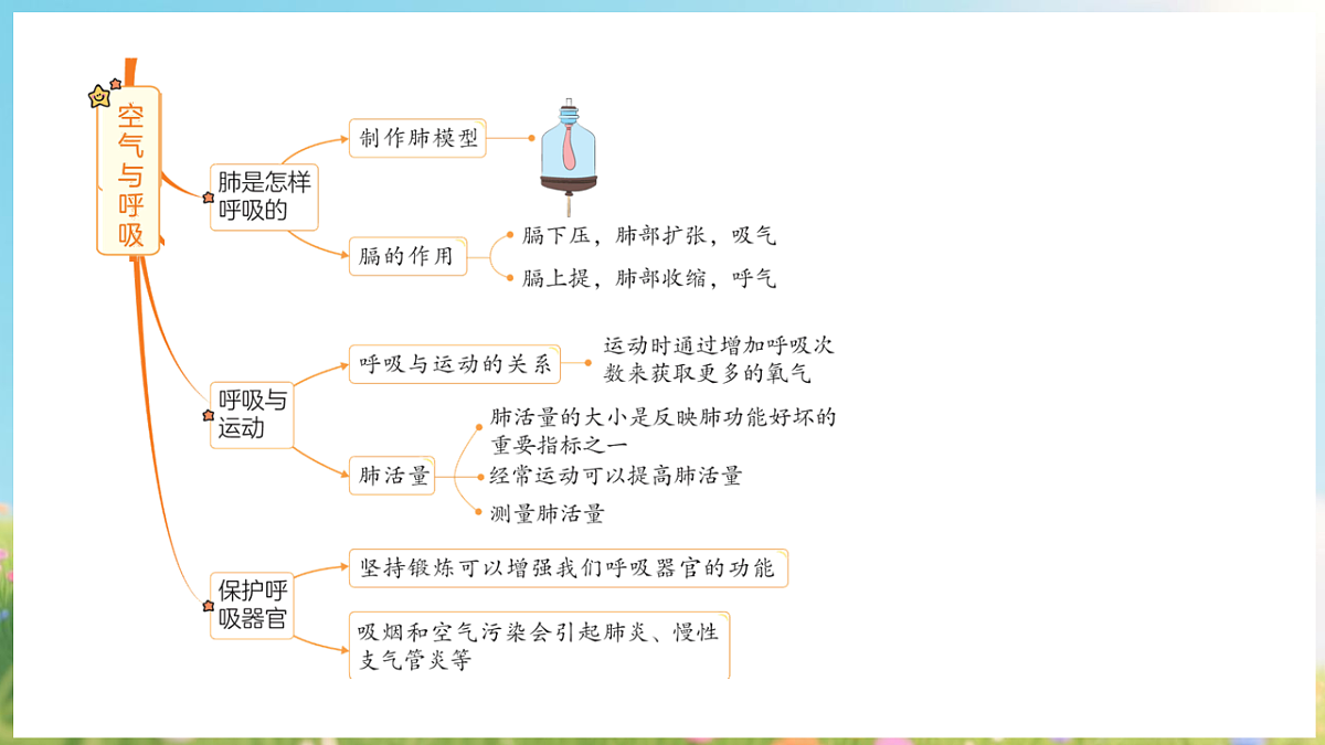 17913069第7页