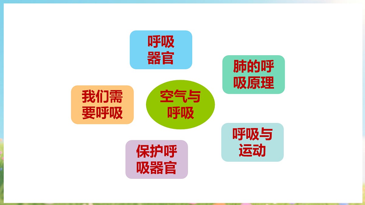 17913069第8页