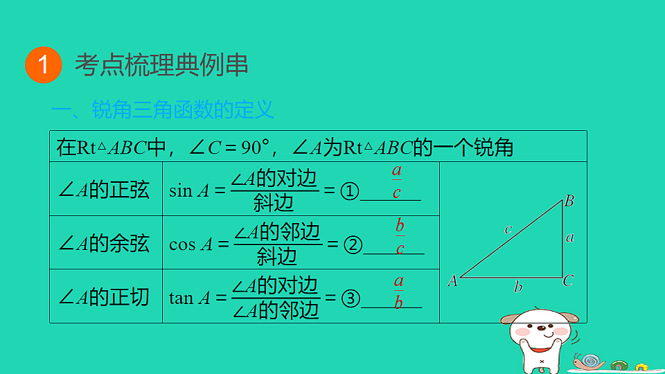 17914130第3页