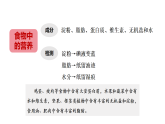 2026年大象版三年级科学下册 第三单元  食物与消化单元小结（课件）
