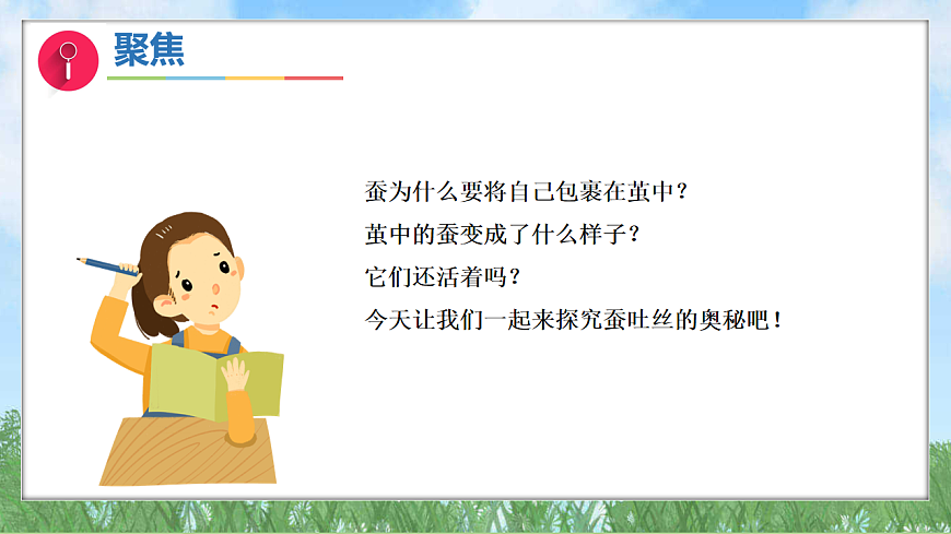 2.5蚕变了新模样（教学课件）科学三年级下册（教科版2024）第4页