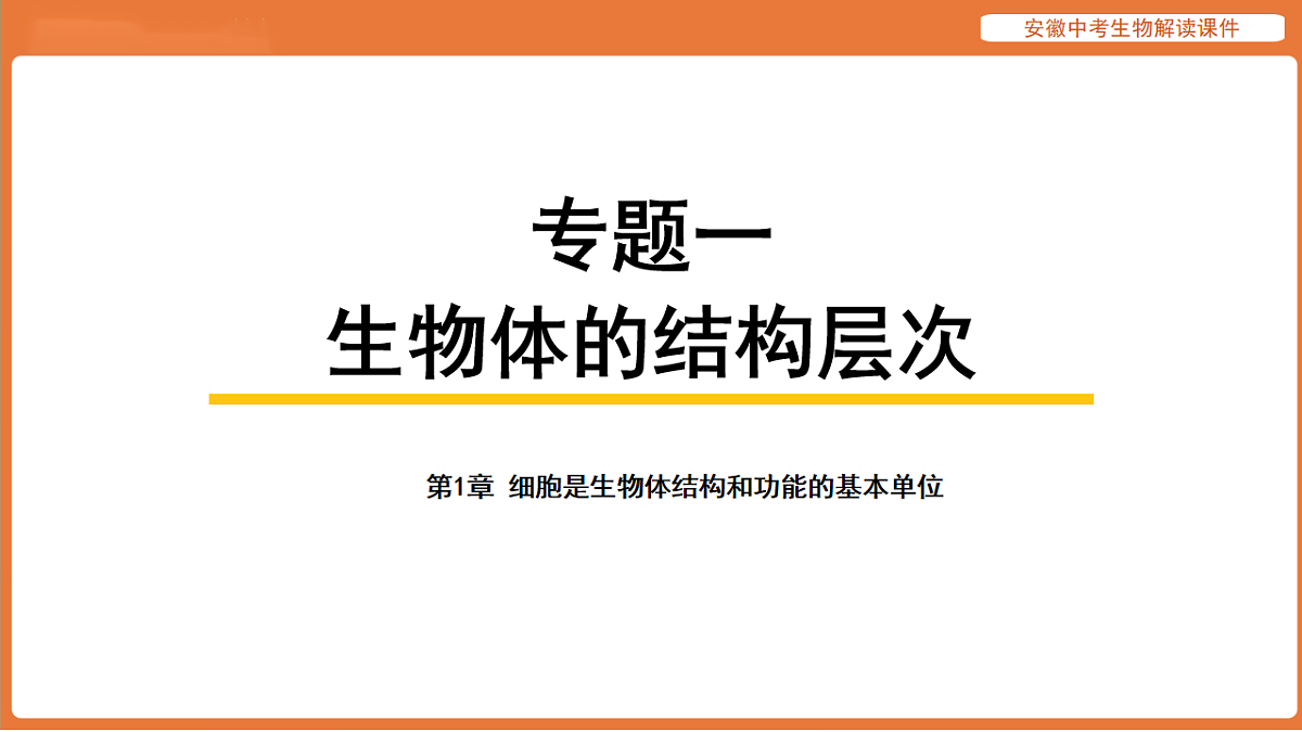 17914478第1页