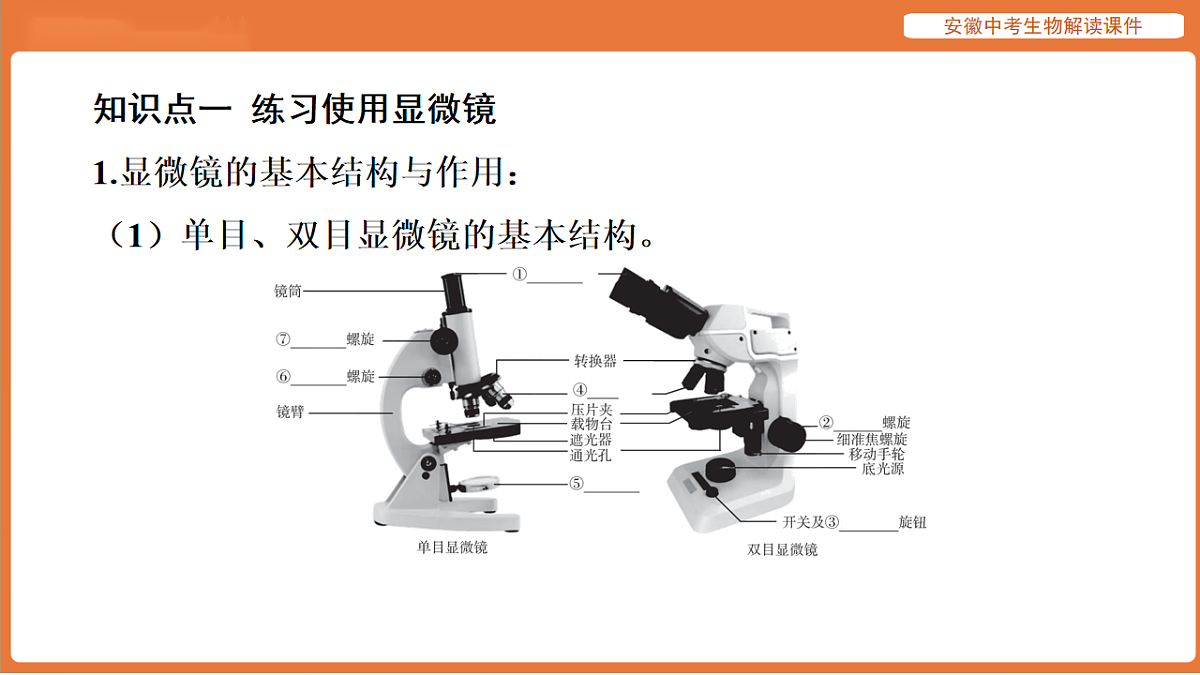 17914478第7页