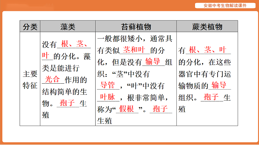 17914480第7页