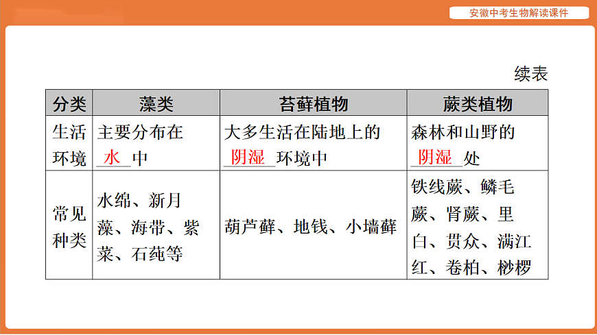 17914480第8页