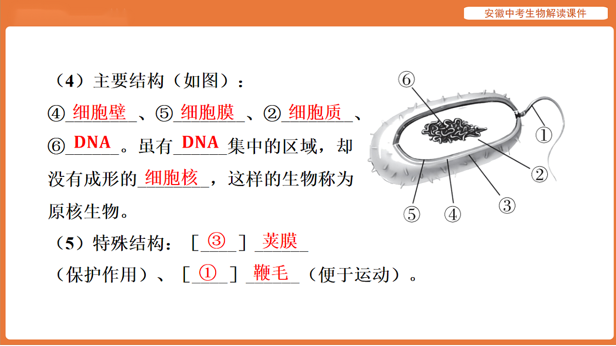17914482第8页