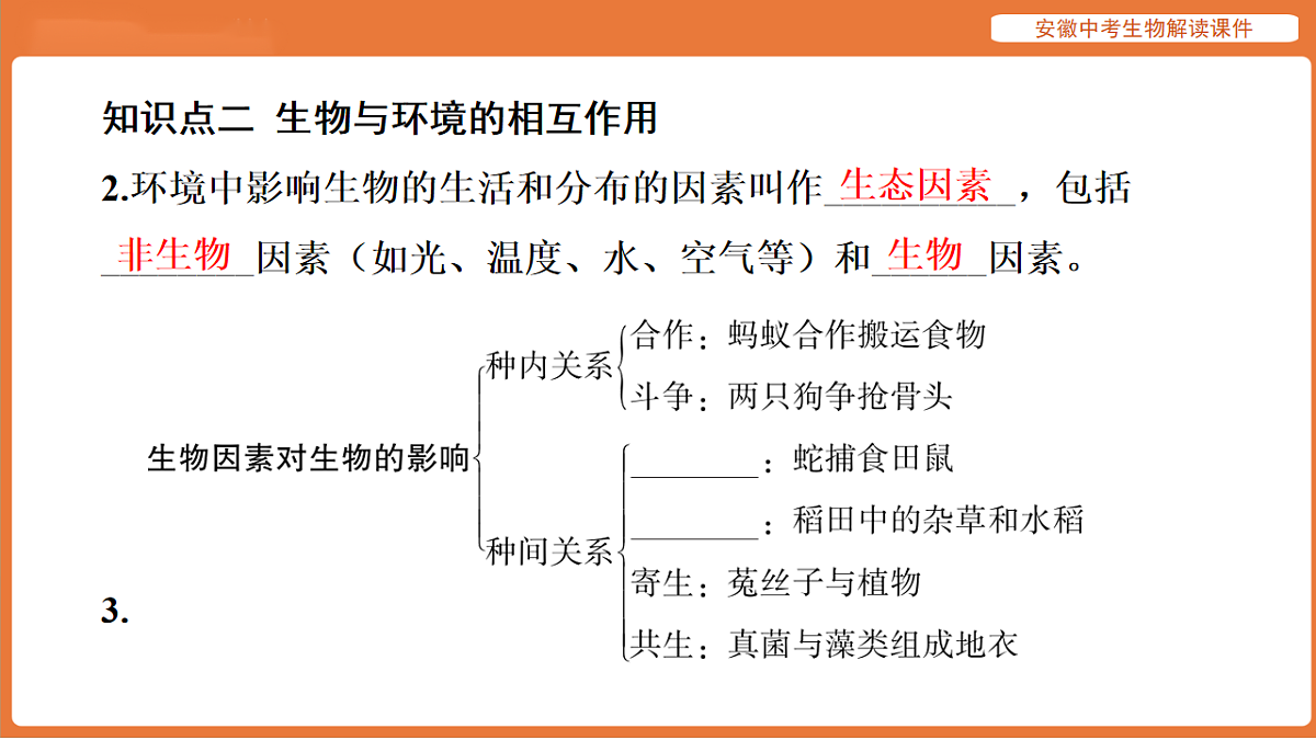 17914484第8页