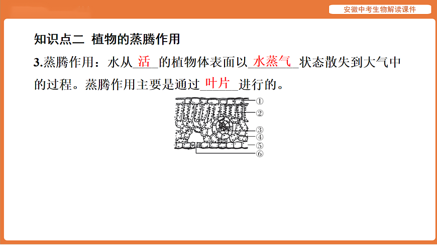 17914486第7页