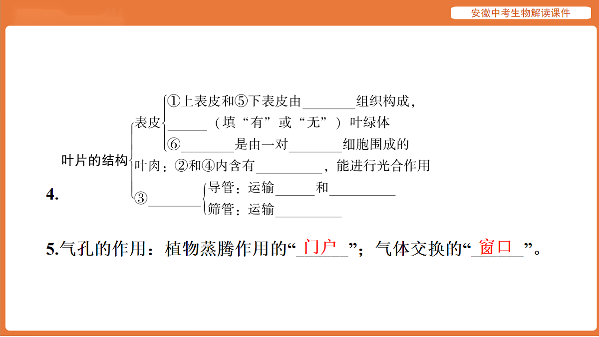 17914486第8页