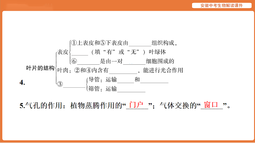 17914486第8页