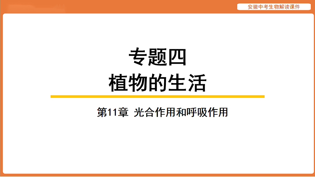 17914488第1页