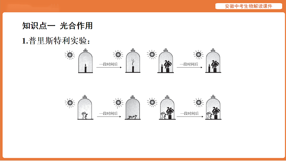 17914488第6页